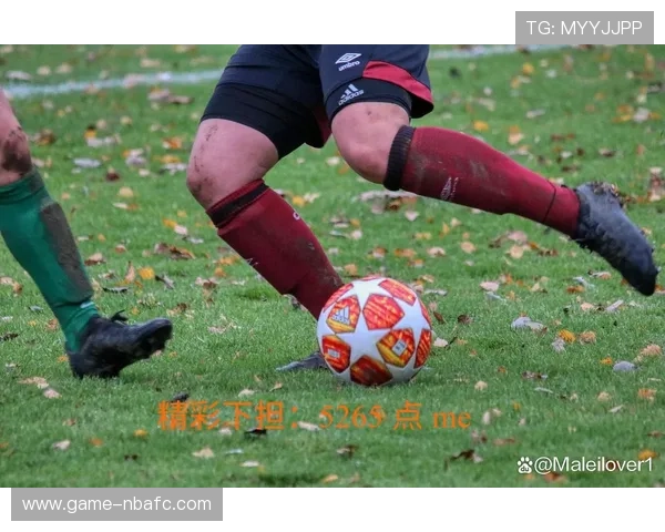 相信星空体育网站，畅享各类精彩赛事